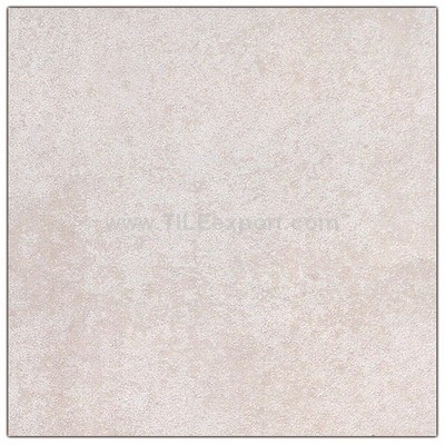 Floor_Tile--Porcelain_Tile,600X600mm[SS],66009